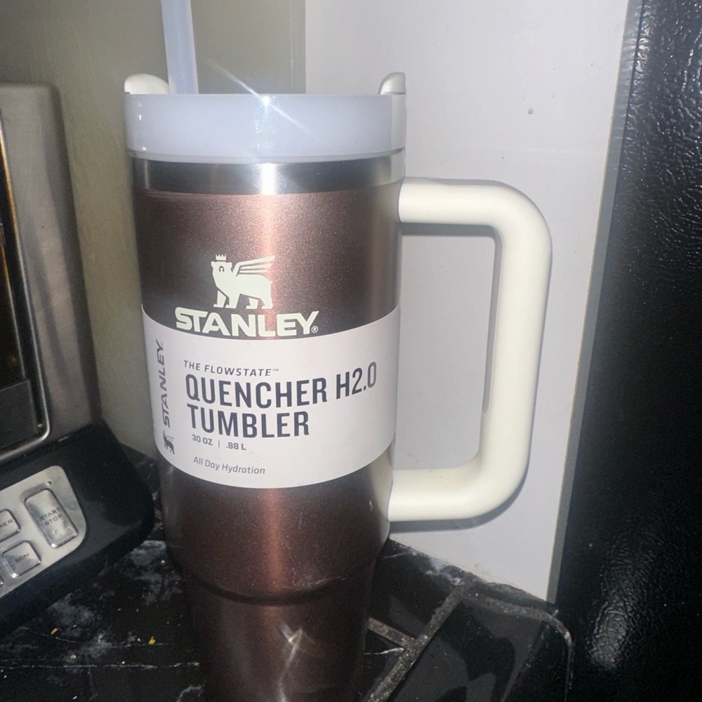 Stanley Cup 30 oz